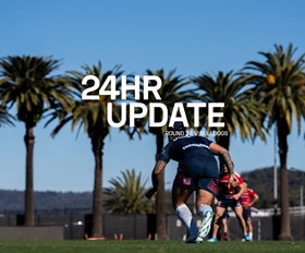 NRL 24 Hour Update | Round 23 v Bulldogs
