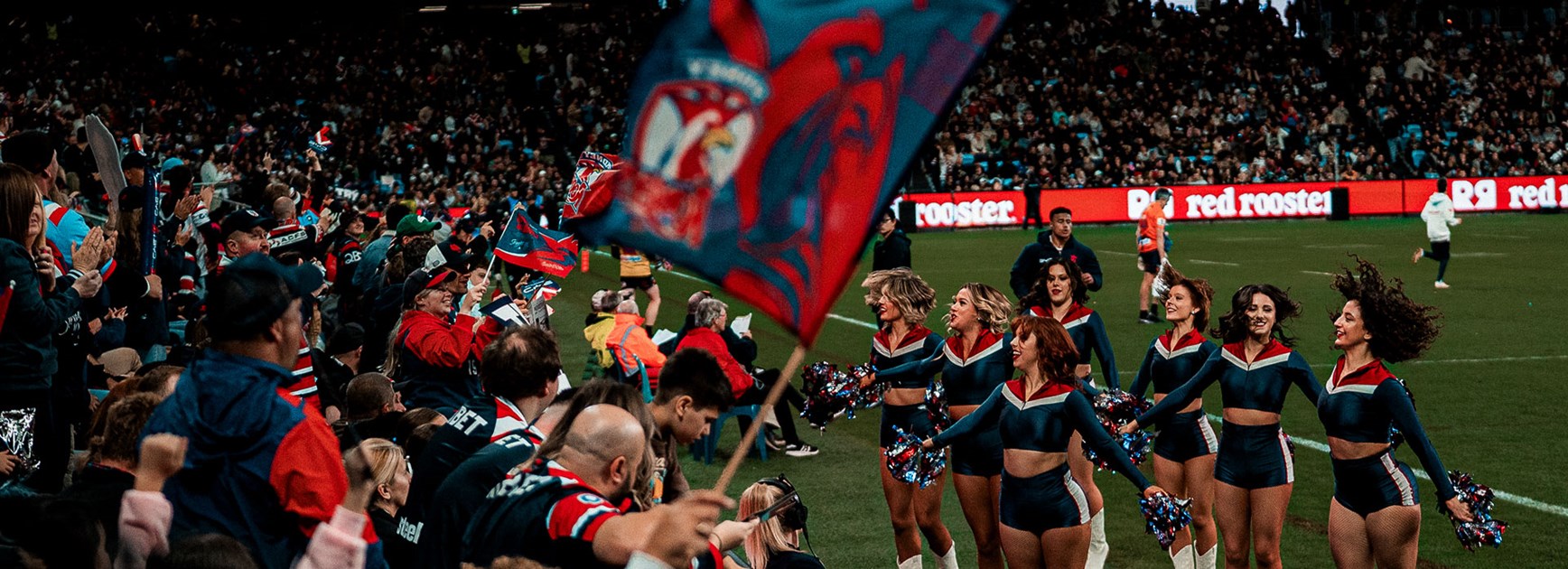 Roosters Seek Cheer Squad Director for 2026 Season
