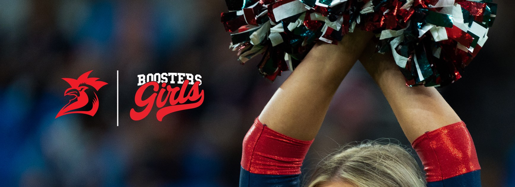 2025 Roosters Girls - Register Now!