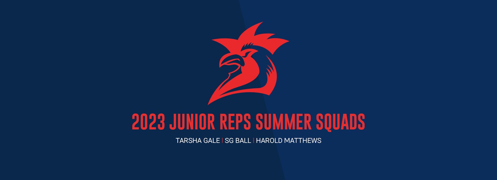 2023 Junior Representative Summer Squads Announced