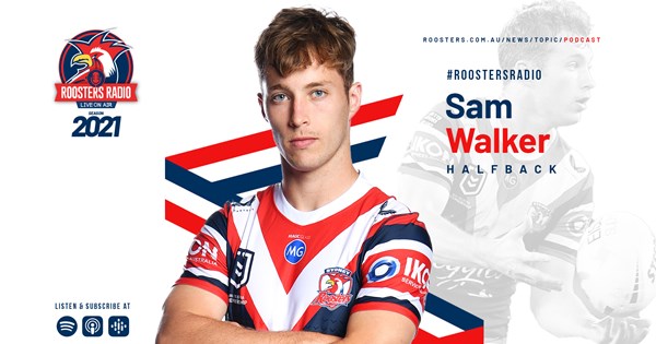 邦楽 THE ROOSTERS virus security NSA and FBI Expose Russian Previously Undisclosed Malware