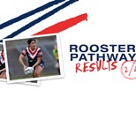 Juniors Report Round 9: Roosters Ready for Finals