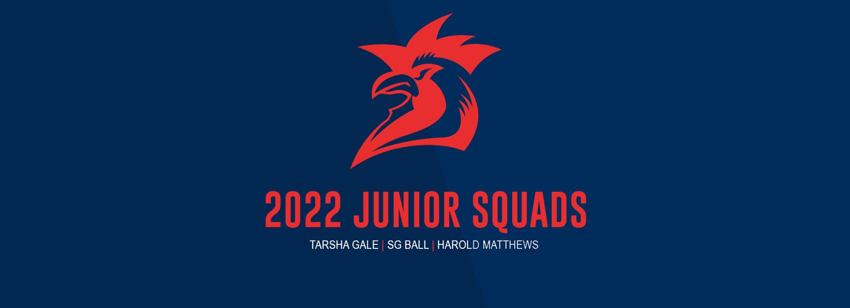 Junior Rep 2022 Squads Announced