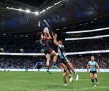 Game Day Hub | Finals Week 2 v Sharks