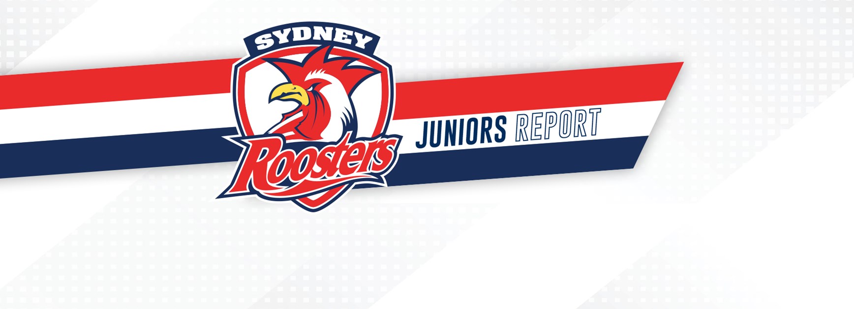 Juniors Report Round 6: SG Ball Roosters Rise to Second