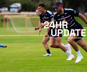 24 Hour Update | Round 6 v Sharks