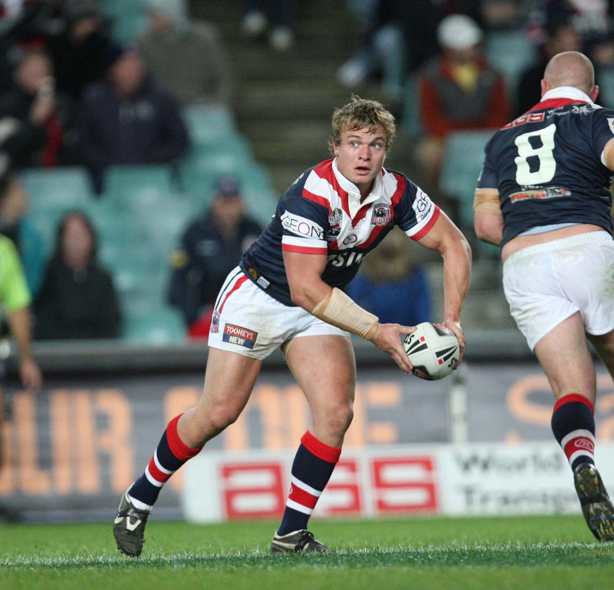 Jake Friend Gallery | Roosters