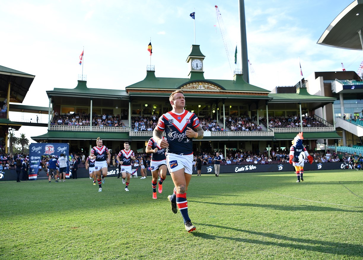 Jake Friend Gallery | Roosters