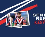 Seniors Report Round 8: Roosters Down Dragons