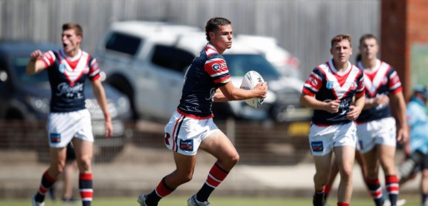Courageous Roosters Conquered by Knights