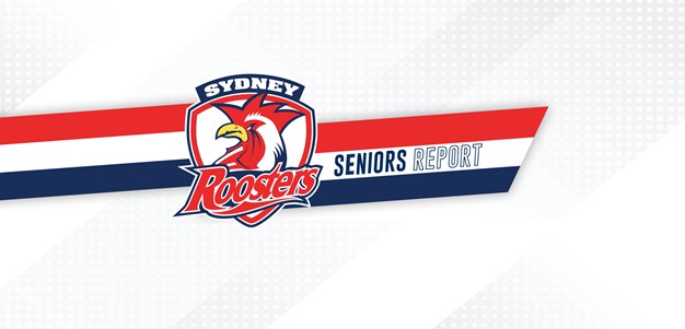 Seniors Report Round 2 | Resurgent Roosters Crush Manly