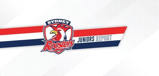 Juniors Report Round 5: Roosters Enjoy Perfect Round