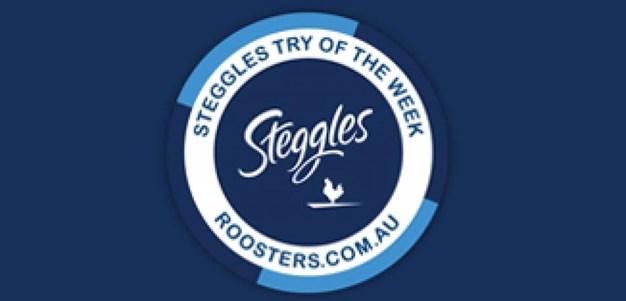 StegglesTry-Round17