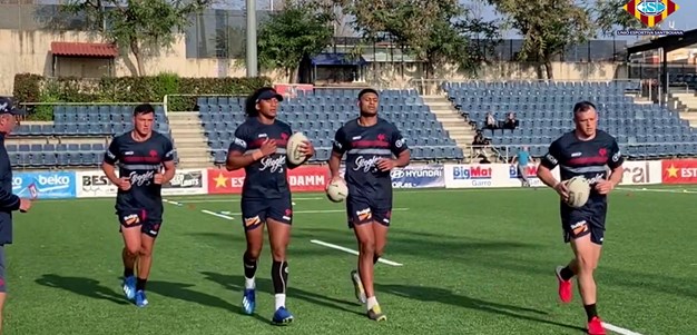 Roosters Train In Barcelona