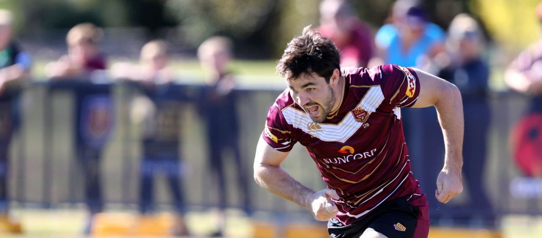 Roosters in Origin Gallery