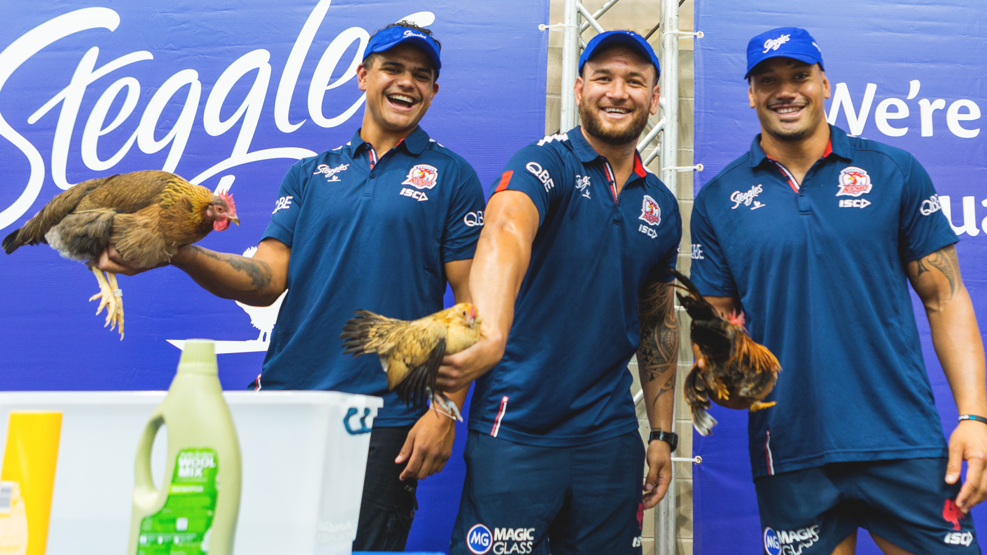 The official site of the Sydney Roosters Roosters