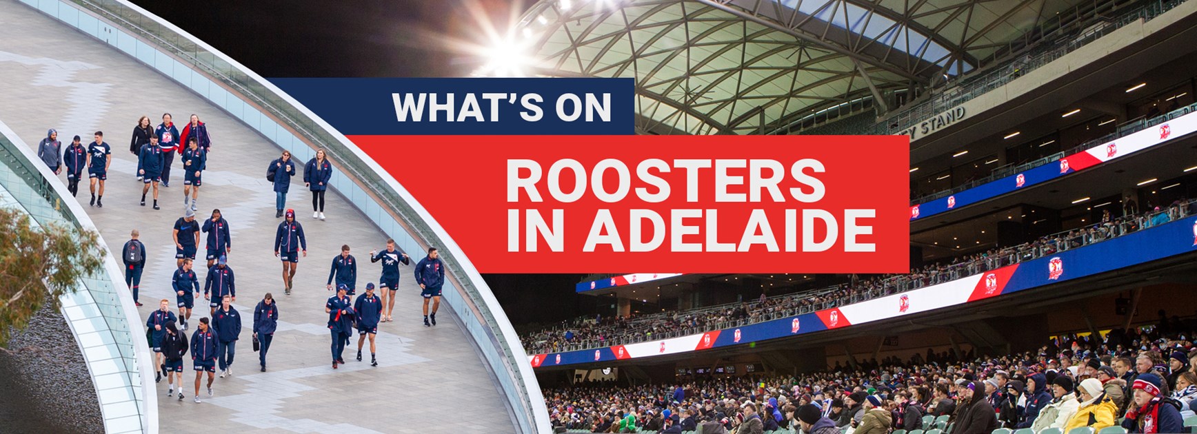 Roosters In Adelaide