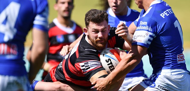Bears Go Down In Tight Battle At Leichhardt Oval