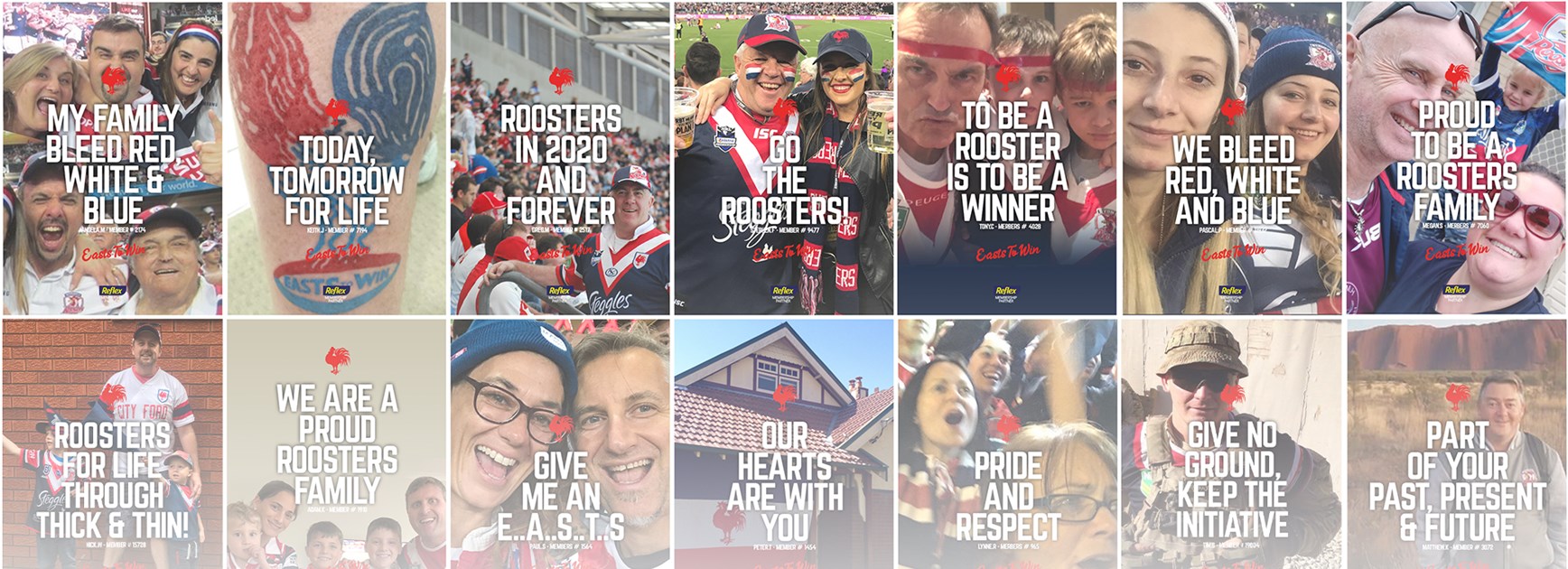 Every Roosters fan can be a Member