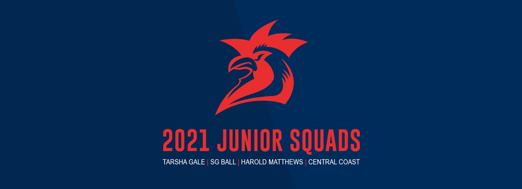 Juniors Selected for 2021 Squads