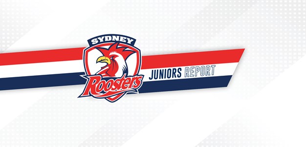 SG Ball 2022 Summer Squad Announced