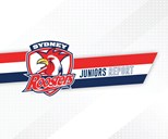 Juniors Report Round 9: Roosters Record Resounding Wins